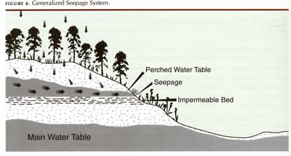 diagram of a generalized seepage system