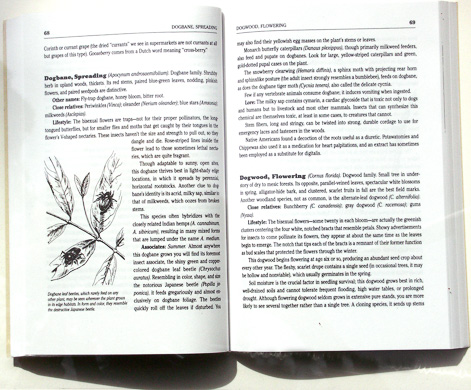 page from of The Book of Field and Roadside