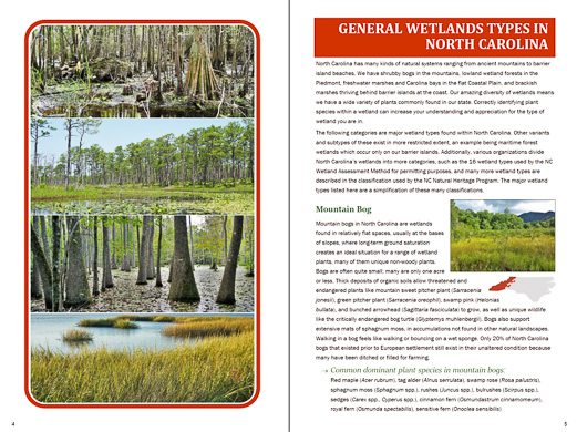 page from Field Guide to Common Wetland Plants of North Carolina by Karen Kendig, Kristie Gianopulos, and Milo Pyne
