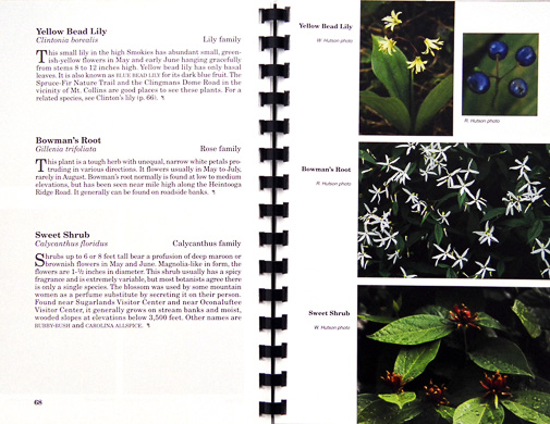 page from Great Smoky Mountains Wildflowers by Robert W. Hutson, William F. Hutson and Aaron J. Sharp