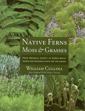 bookcover Native Ferns, Moss and Grasses by William Cullina