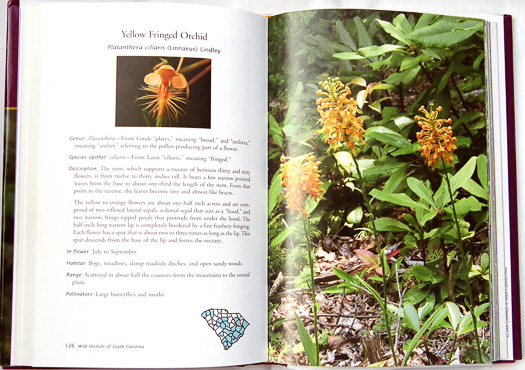 page from Wild Orchids of South Carolina: A Popular Natural History by Jim Fowler