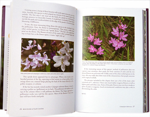 page from Wild Orchids of South Carolina: A Popular Natural History by Jim Fowler