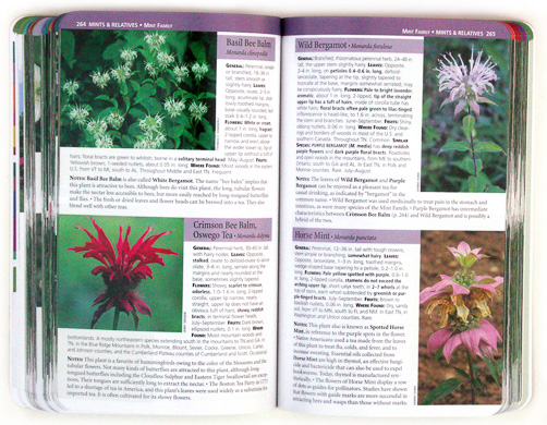 page from Wildflowers of Tennessee, the Ohio Valley, and the Southern Appalachians by Dennis Horn and Tavia Cathcart