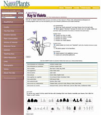screenshot of Violet Key