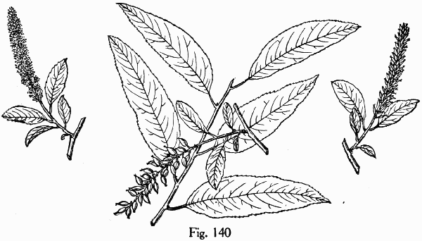 Fig. 140