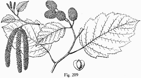 Fig. 209